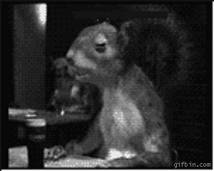 Drinking Squirrel